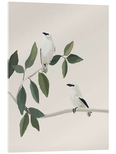 Acrylglasbild Weiße Vögel auf einem Zweig