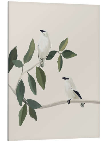 Aluminium print White birds on a branch