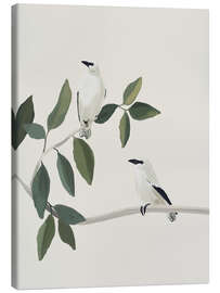 Tableau sur toile White birds on a branch