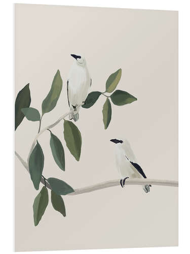 Cuadro de PVC White birds on a branch