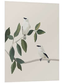 Cuadro de PVC White birds on a branch