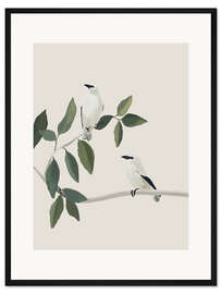 Gerahmter Kunstdruck Weiße Vögel auf einem Zweig