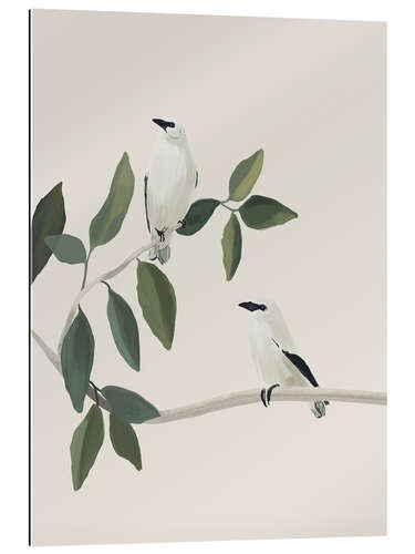 Tableau en plexi-alu White birds on a branch
