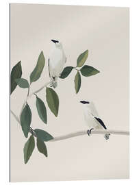 Tableau en plexi-alu White birds on a branch