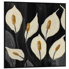 Alubild Weiße Calla-Lilien