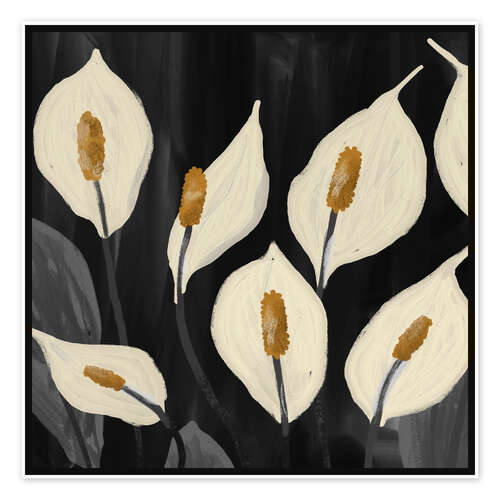 Poster Weiße Calla-Lilien