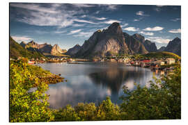 Aluminium print The fishing village of Reine in summer, Lofoten - Dennis Fischer