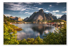 Wall print The fishing village of Reine in summer, Lofoten - Dennis Fischer