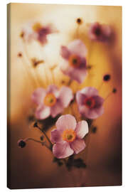 Obraz na płótnie Pink anemones - Jaroslaw Blaminsky