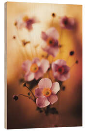 Puutaulu Pink anemones - Jaroslaw Blaminsky