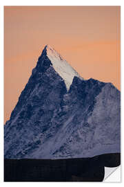 Autocolante decorativo Finsteraarhorn mountain peak at sunset, Switzerland