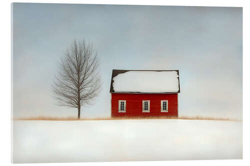 Acrylglas print Red House in the Snow