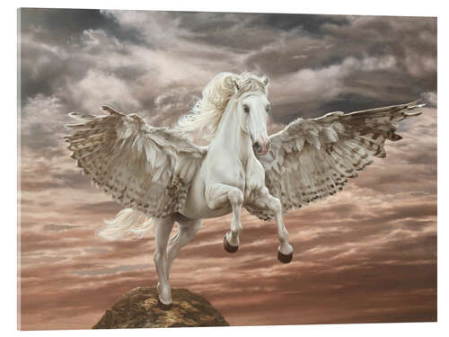 Stampa su vetro acrilico Pegaso