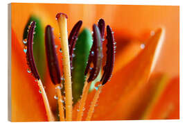 Holzbild Lilie mit Wassertropfen