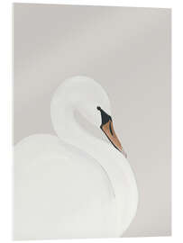 Quadro em acrílico White Swan - ThingDesign