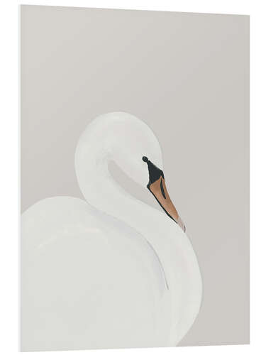 Bilde på skumplate White Swan