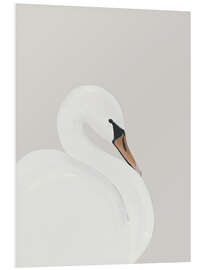 Bilde på skumplate White Swan