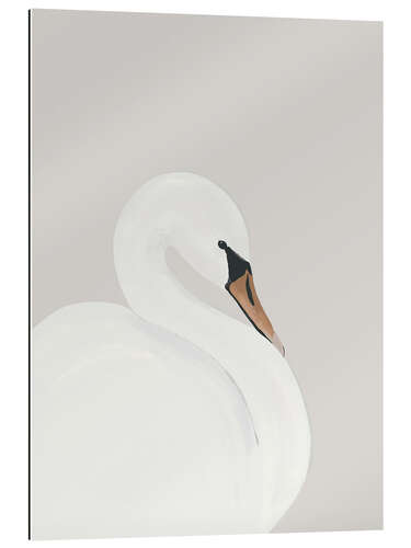 Stampa su plexi-alluminio White Swan