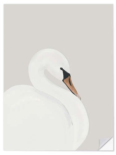 Självhäftande poster White Swan