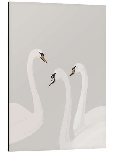 Aluminiumtavla White Swans