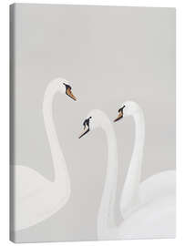 Canvas-taulu White Swans - ThingDesign