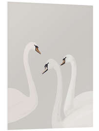 Bilde på skumplate White Swans