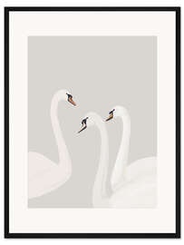 Gerahmter Kunstdruck Weiße Schwäne