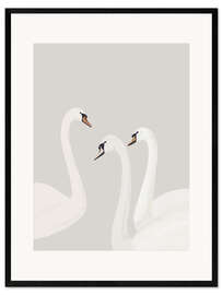 Gerahmter Kunstdruck Weiße Schwäne