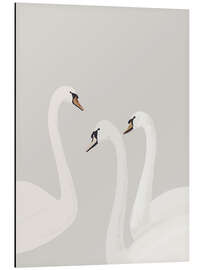 Magnettafel Weiße Schwäne