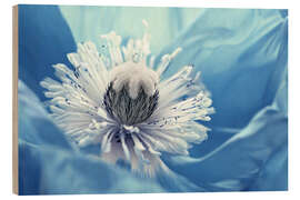 Wood print Blue poppy blossom - Atteloi