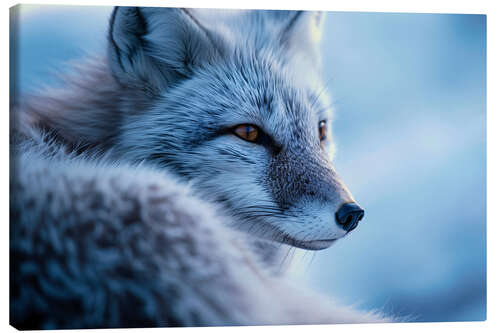 Lienzo Arctic fox in winter in the Norwegian tundra
