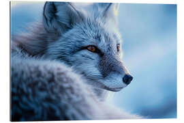 Gallery Print Polarfuchs im Winter in der Tundra Norwegens