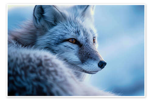 Poster Arctic fox in winter in the Norwegian tundra