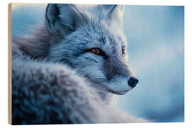 Print på træ Arctic fox in winter in the Norwegian tundra