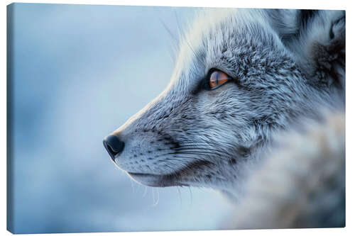 Lienzo Arctic fox in winter in the Norwegian tundra