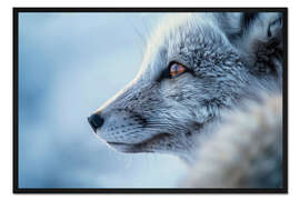 Gerahmter Kunstdruck Polarfuchs im Winter in der Tundra Norwegens