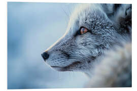 Cuadro de PVC Arctic fox in winter in the Norwegian tundra