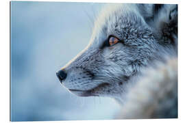 Gallery Print Polarfuchs im Winter in der Tundra Norwegens