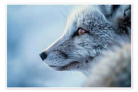 Wall print Arctic fox in winter in the Norwegian tundra - Christian Müringer