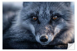 Wandsticker Polarfuchs