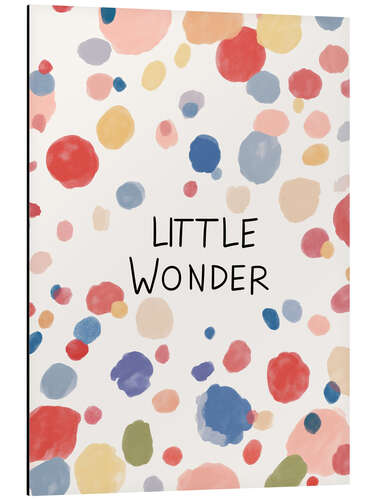 Cuadro de aluminio Little Wonder