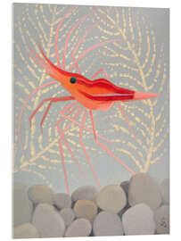 Cuadro de metacrilato Red shrimp from Madeira - Simon Albert Bussy