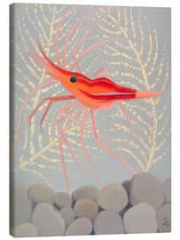 Canvas print Red shrimp from Madeira - Simon Albert Bussy