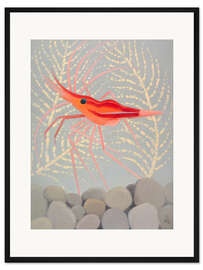 Gerahmter Kunstdruck Rote Garnele aus Madeira