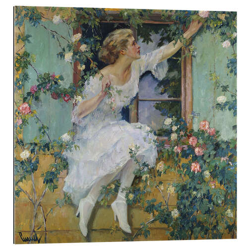 Gallery print Wild roses