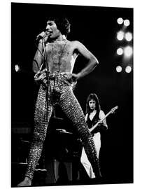 Tableau en PVC Freddie Mercury, Earl's Court, London, Großbritannien, 1977
