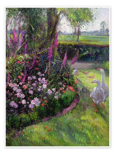 Póster Rose Bed and Geese, 1992