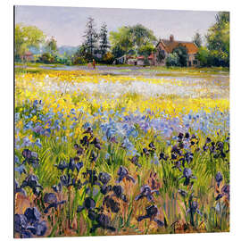 Stampa su alluminio Iris and two fir trees, 1993 - Timothy Easton