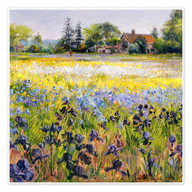 Wandbild Iris und zwei Tannen, 1993 - Timothy Easton