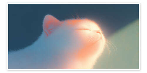 Plakat Kitten in the Sun